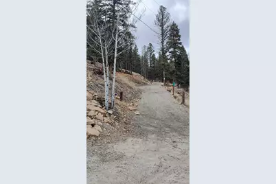 1423 Redhill Road, Fairplay, CO 80440 - Photo 35