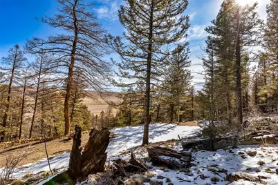 1423 Redhill Road, Fairplay, CO 80440 - Photo 23