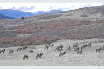 421 Terrace Trail, La Veta, CO 81055 - Photo 49