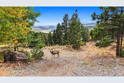407 Old Sawmill Road, Bailey, CO 80421 - Photo 49