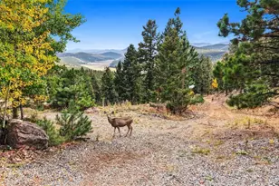 407 Old Sawmill Rd, Bailey, CO 80421 - Photo 49