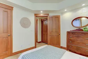 2665 Iola St, Denver, CO 80238 - Photo 29