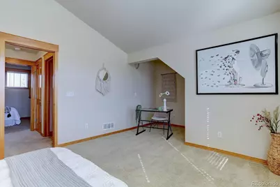 2665 Iola Street, Denver, CO 80238 - Photo 21