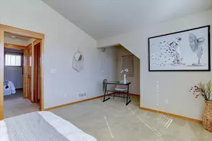 2665 Iola St, Denver, CO 80238 - Photo 21