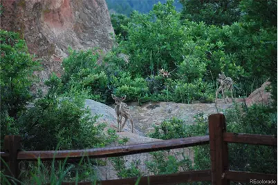 6227 Colorow Drive, Morrison, CO 80465 - Photo 35