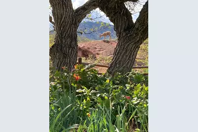 6227 Colorow Drive, Morrison, CO 80465 - Photo 41