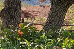 6227 Colorow Dr, Morrison, CO 80465 - Photo 41