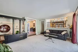 6227 Colorow Dr, Morrison, CO 80465 - Photo 11