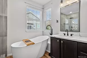 10268 Hexton Ct, Lone Tree, CO 80124 - Photo 31