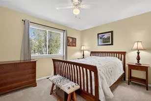 10268 Hexton Ct, Lone Tree, CO 80124 - Photo 33