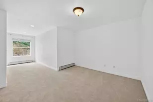 3144 Snow Trillium Way, Evergreen, CO 80439 - Photo 29