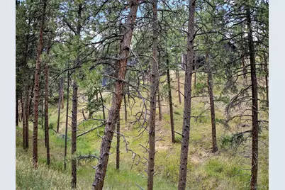 3144 Snow Trillium Way, Evergreen, CO 80439 - Photo 39