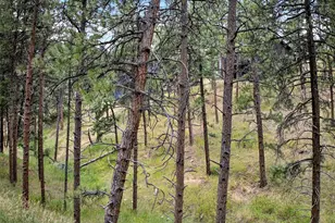 3144 Snow Trillium Way, Evergreen, CO 80439 - Photo 39