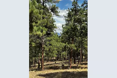 16525 Mt. Princeton Road, Buena Vista, CO 81211 - Photo 45