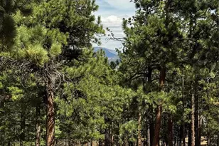 16525 Mt Princeton Rd, Buena Vista, CO 81211 - Photo 45