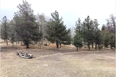 103 Adair Circle, Florissant, CO 80816 - Photo 11