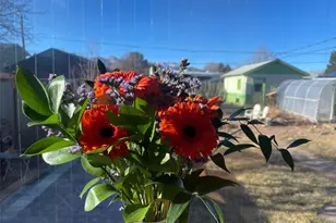 1328 I St, Salida, CO 81201 - Photo 7