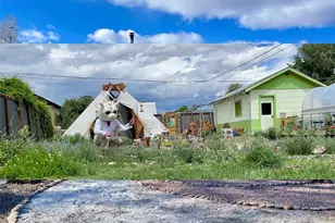 1328 I St, Salida, CO 81201 - Photo 9