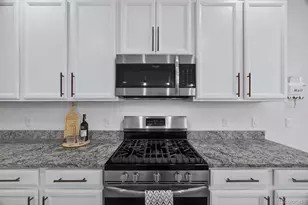 4658 Copeland Cir, Highlands Ranch, CO 80126 - Photo 9