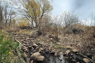 7190 Co Rd 228, San Luis, CO 81152 - Photo 9