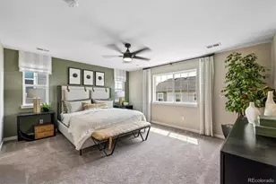 9113 Ironwood St, Highlands Ranch, CO 80129 - Photo 19