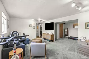 224 Hill Ct, Castle Rock, CO 80104 - Photo 29