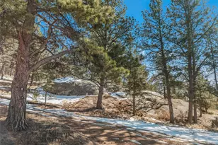 10448 CR-1, Florissant, CO 80816 - Photo 35