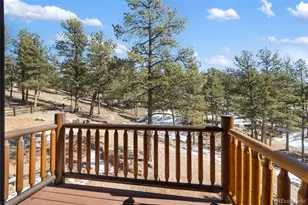 10448 CR-1, Florissant, CO 80816 - Photo 31