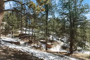 10448 CR-1, Florissant, CO 80816 - Photo 33