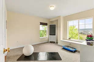 4329 Springmeadow Cir, Castle Rock, CO 80109 - Photo 29
