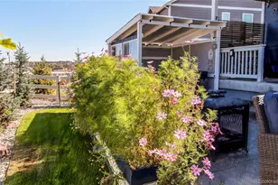 2227 Rosette Ln, Castle Rock, CO 80104 - Photo 45