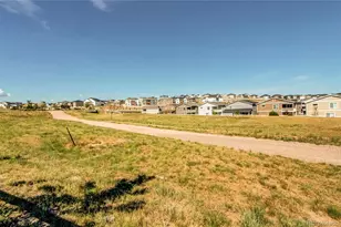 2227 Rosette Ln, Castle Rock, CO 80104 - Photo 47