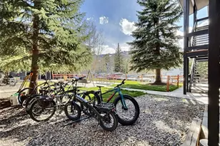 214 S Harris St, Breckenridge, CO 80424 - Photo 23
