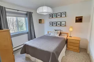 214 S Harris St, Breckenridge, CO 80424 - Photo 15