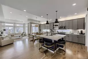 17558 E 103rd Dr, Commerce City, CO 80022 - Photo 3