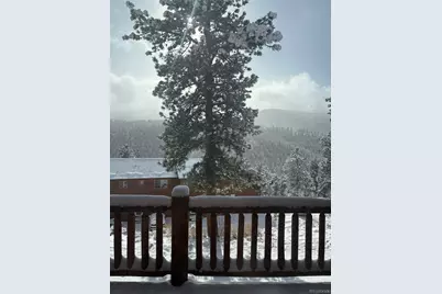 305 Virginia Road #B, Bailey, CO 80421 - Photo 33