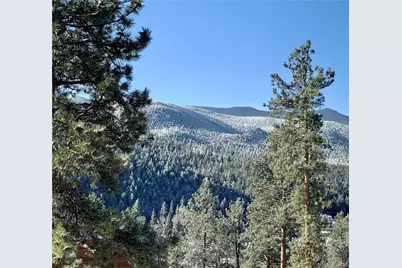 305 Virginia Road #B, Bailey, CO 80421 - Photo 41