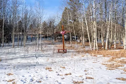 546 Alpine Meadows Lane, Florissant, CO 80816 - Photo 21