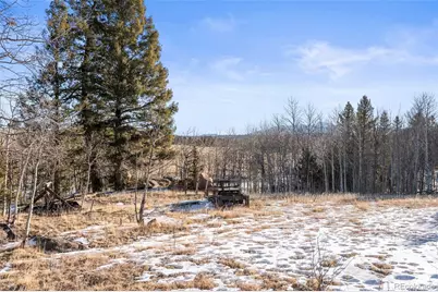 546 Alpine Meadows Lane, Florissant, CO 80816 - Photo 25