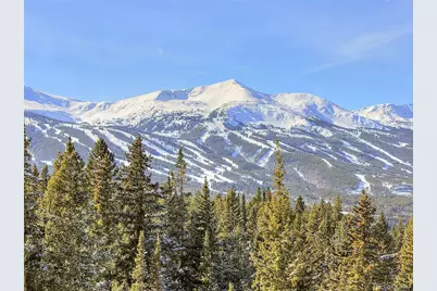 3362 Boreas Pass Road, Breckenridge, CO 80424 - Photo 1