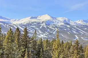 3362 Boreas Pass Rd, Breckenridge, CO 80424 - Photo 1