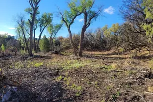 23855 Horsefly Rd, Montrose, CO 81403 - Photo 21