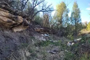 23855 Horsefly Rd, Montrose, CO 81403 - Photo 23