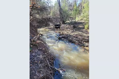 23855 Horsefly Road, Montrose, CO 81403 - Photo 17