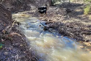 23855 Horsefly Rd, Montrose, CO 81403 - Photo 17