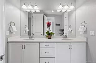 769 Winding Pine Ln, Highlands Ranch, CO 80126 - Photo 25