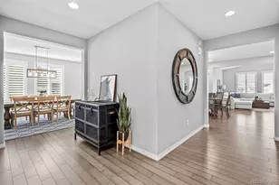 769 Winding Pine Ln, Highlands Ranch, CO 80126 - Photo 11