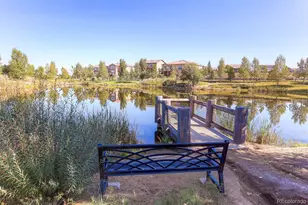 16576 Antero Cir, Broomfield, CO 80023 - Photo 31