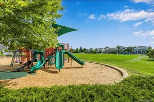 14144 Blue River Trail, Broomfield, CO 80023 - Photo 43