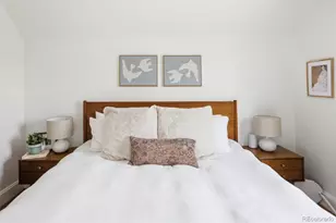 216 N Sherman St, Denver, CO 80203 - Photo 31